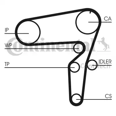 Continental CT 1076 - Cinghia dentata autozon.pro