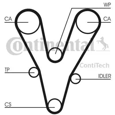 Continental CT 1073 - Cinghia dentata autozon.pro