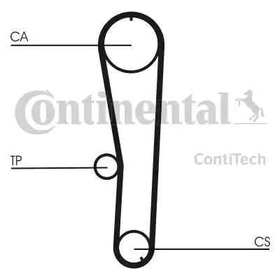 Continental CT 1072 - Cinghia dentata autozon.pro