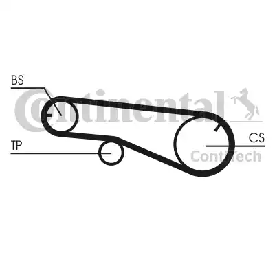 Continental CT1141 - Cinghia dentata autozon.pro