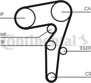 CONTITECH CT 1155 WP1 - Pompa acqua + Kit cinghie dentate autozon.pro