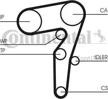 Continental CT1155K1 - Kit cinghie dentate autozon.pro