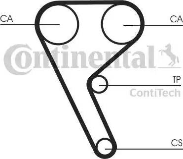 Continental CT1157 - Cinghia dentata autozon.pro