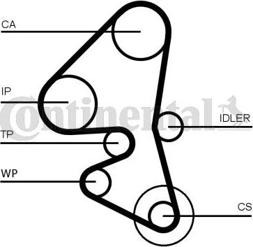 CONTITECH CT1162 - Cinghia dentata autozon.pro