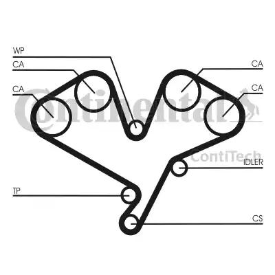 Continental CT1113 - Cinghia dentata autozon.pro