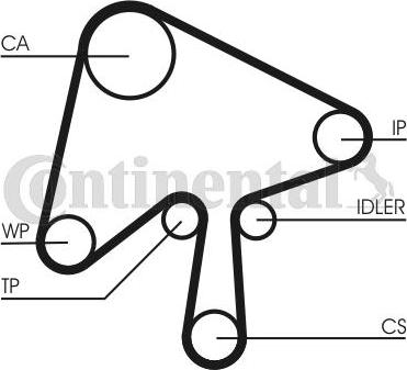 CONTITECH CT 1136 - Cinghia dentata autozon.pro