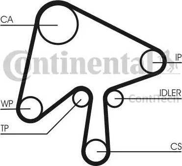 Continental CT1136 - Cinghia dentata autozon.pro