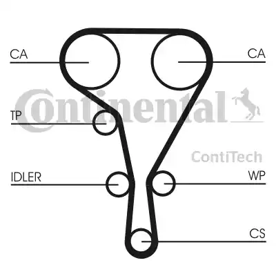 Continental CT 1130 - Cinghia dentata autozon.pro