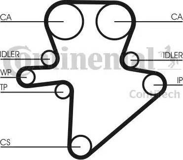 Continental CT 1123 - Cinghia dentata autozon.pro