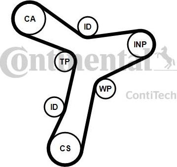 Continental CT1229 - Cinghia dentata autozon.pro