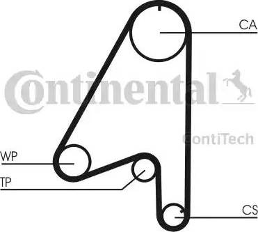 Continental CT806 - Cinghia dentata autozon.pro