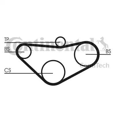 Continental CT800 - Cinghia dentata autozon.pro