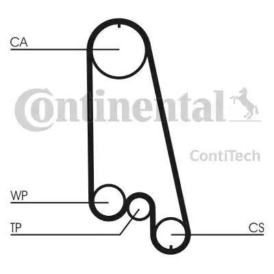 Continental CT874K1 - Kit cinghie dentate autozon.pro