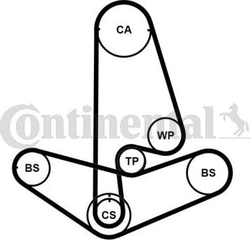 Continental CT799K2PRO - Kit cinghie dentate autozon.pro