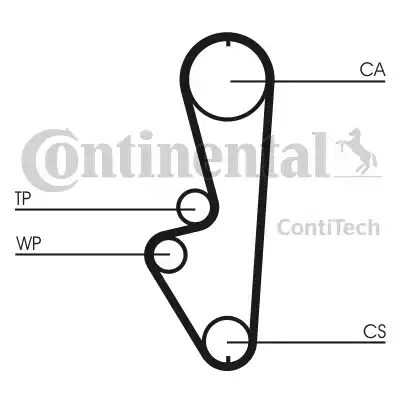 Continental CT765 - Cinghia dentata autozon.pro