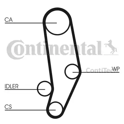 Continental CT704K1 - Kit cinghie dentate autozon.pro