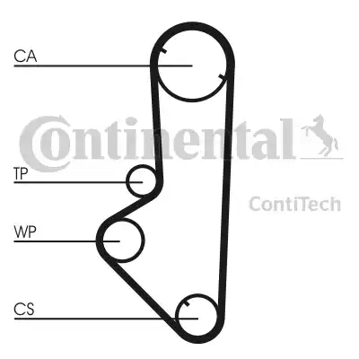 Continental CT707 - Cinghia dentata autozon.pro