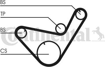 Contitech CT714K1 - Kit cinghie dentate autozon.pro