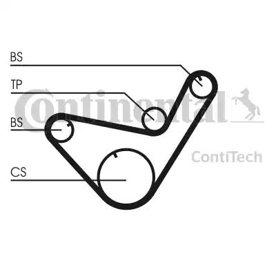 Continental CT714 - Cinghia dentata autozon.pro