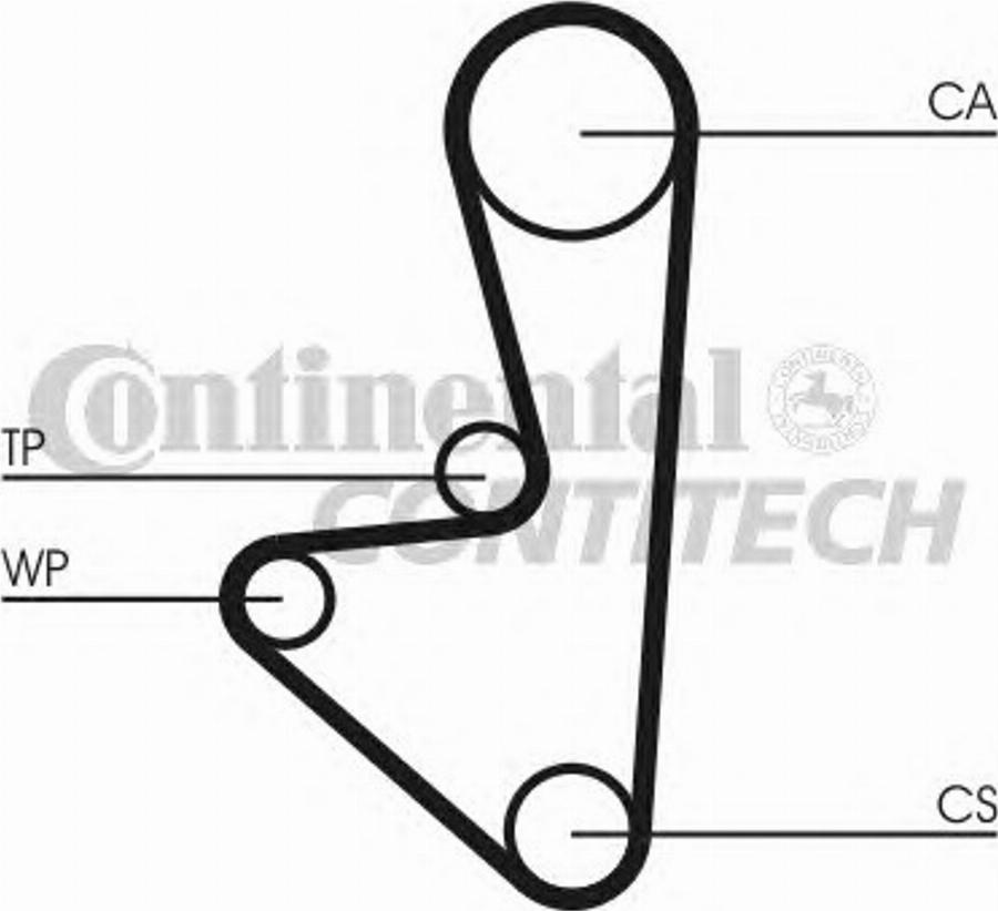 Contitech CT718WP2 - Kit cinghie dentate autozon.pro