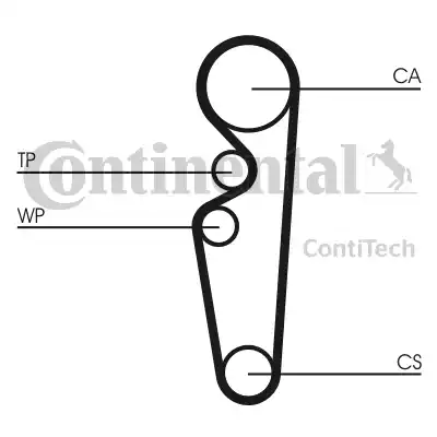 Continental CT729 - Cinghia dentata autozon.pro