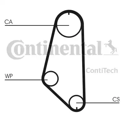 Continental CT720 - Galoppino / Guidacinghia, Cinghia dentata autozon.pro