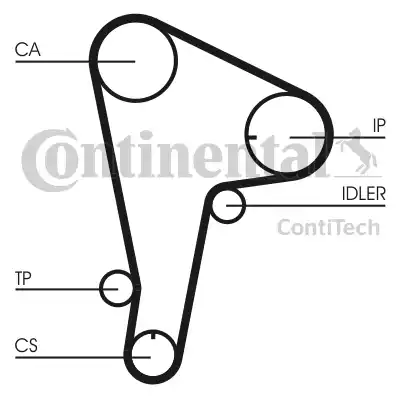 Continental CT721 - Cinghia dentata autozon.pro