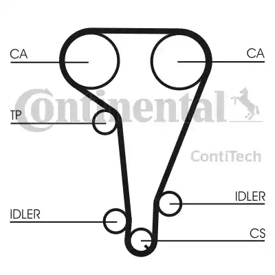 Continental CT728 - Cinghia dentata autozon.pro