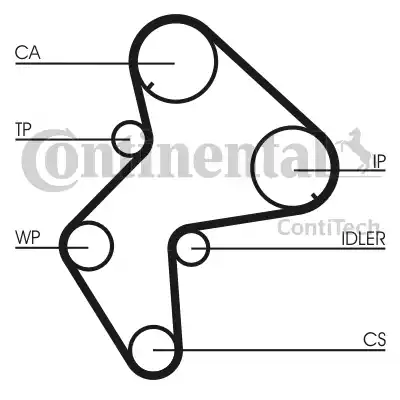 Continental CT772K1 - Kit cinghie dentate autozon.pro