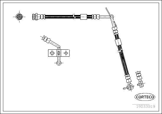 Corteco 19033019 - Flessibile del freno autozon.pro