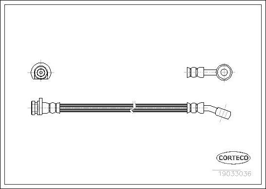 Corteco 19033036 - Flessibile del freno autozon.pro