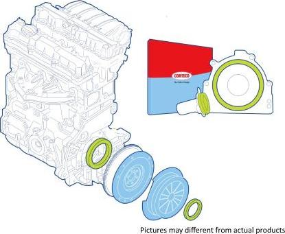 Corteco 19134765 - Kit paraolio, Frizione autozon.pro