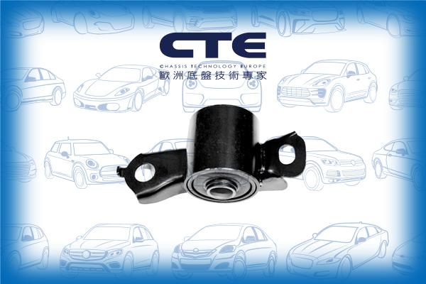 CTE CBH03012R - Supporto, Braccio oscillante autozon.pro