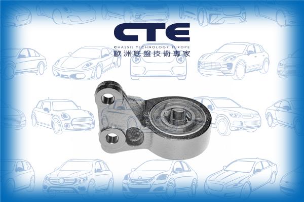 CTE CBH31003L - Supporto, Braccio oscillante autozon.pro