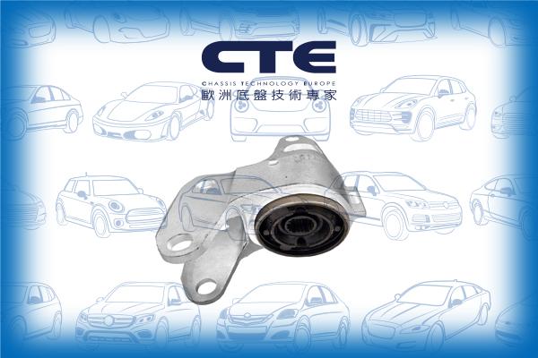 CTE CBH31025R - Supporto, Braccio oscillante autozon.pro