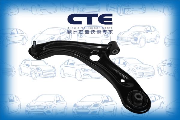 CTE CS-163L - Braccio oscillante, Sospensione ruota autozon.pro