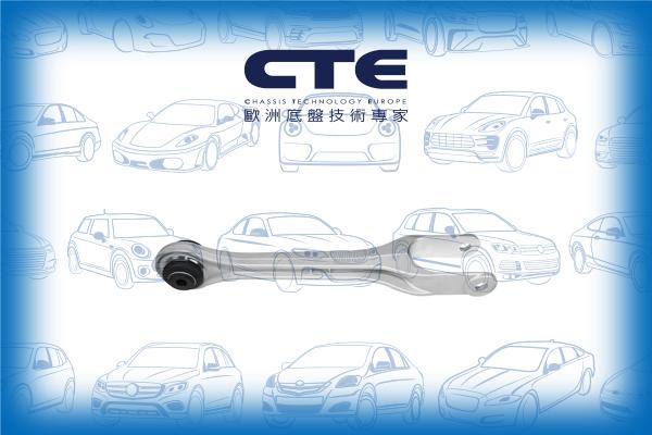 CTE CS-3421 - Braccio oscillante, Sospensione ruota autozon.pro