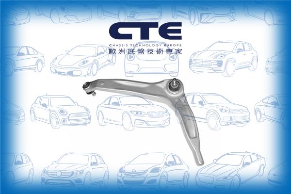 CTE CS-3101R - Braccio oscillante, Sospensione ruota autozon.pro