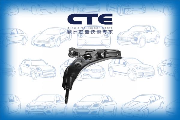 CTE CS-313R - Braccio oscillante, Sospensione ruota autozon.pro