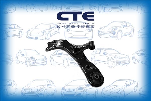 CTE CS-253L - Braccio oscillante, Sospensione ruota autozon.pro