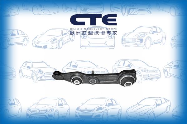 CTE CS-2113L - Braccio oscillante, Sospensione ruota autozon.pro