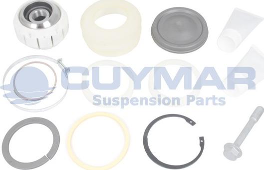 Cuymar 4907295 - Kit riparazione, Braccio oscillante autozon.pro