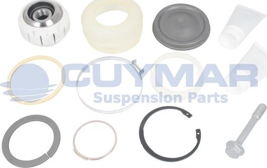 Cuymar 4912191 - Kit riparazione, Braccio oscillante autozon.pro