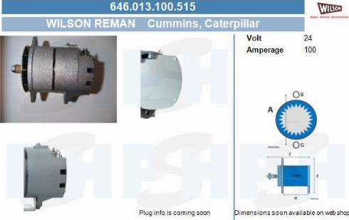 PSH 646.013.100.515 - Alternatore autozon.pro