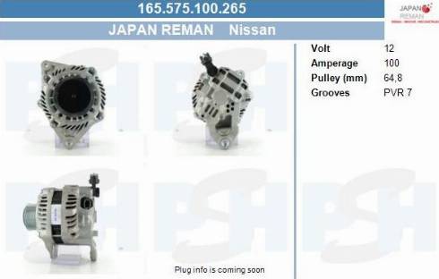 PSH 165.575.100.265 - Alternatore autozon.pro