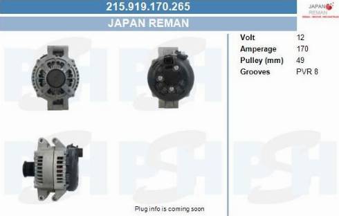 PSH 215.919.170.265 - Alternatore autozon.pro