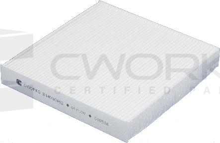 Cworks B140G0462 - Filtro, Aria abitacolo autozon.pro