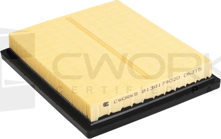 Cworks B130179020 - Filtro aria autozon.pro