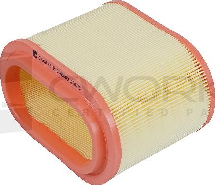 Cworks B130G0090 - Filtro aria autozon.pro