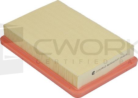 Cworks B130G0117 - Filtro aria autozon.pro